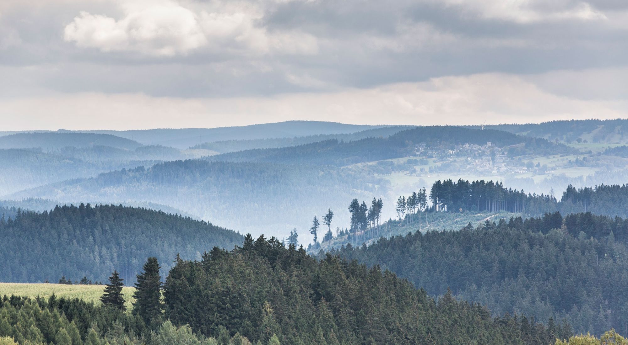 Ansicht Thüringer Wald- und Berglandschaft