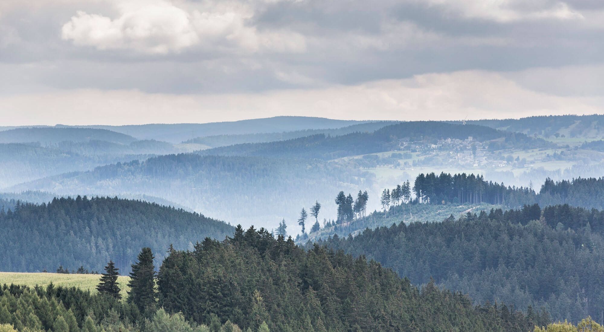 Blick auf die Berge des Thüringer Waldes